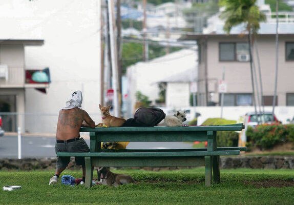 Kokua Line: Why can homeless people dominate park’s pavilion?