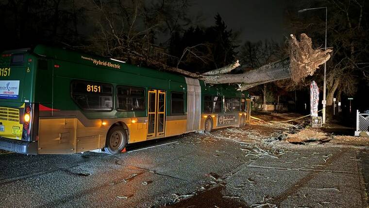 KEITH HIGGINS VIA REUTERS
                                A fallen tree lays on a bus, due to a storm, called a “bomb cyclone,” that hit the Pacific Northwest and western Canada, causing power outages in Washington, Oregon, California and British Columbia while wreaking havoc on road travel, in Seattle, Wash., on Tuesday, in this picture obtained from social media.