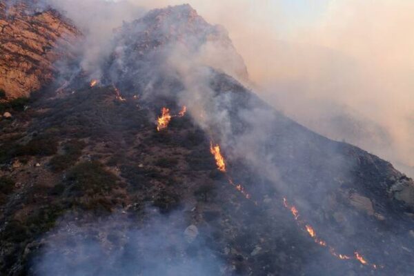 California wildfire fueled by high winds forces Malibu evacuations