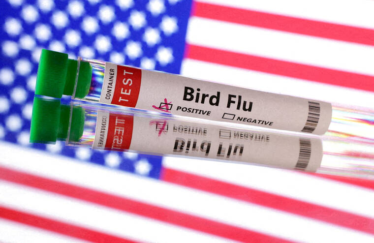 REUTERS/DADO RUVIC/ILLUSTRATION
                                Fest tube is seen labeled “Bird Flu” in front of U.S. flag in this illustration taken.