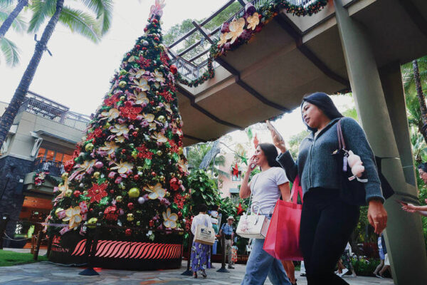 Hawaii shoppers are urged to guard against fraud, theft