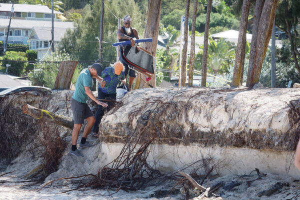 City and state collaborate to improve Kailua Beach Park